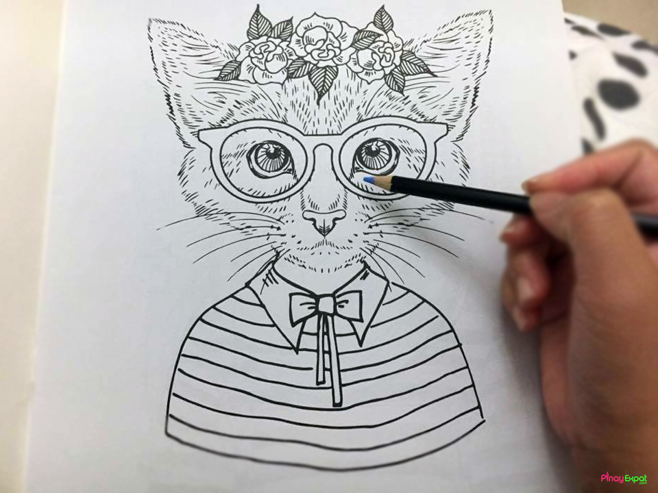 Adult coloring books cat design
