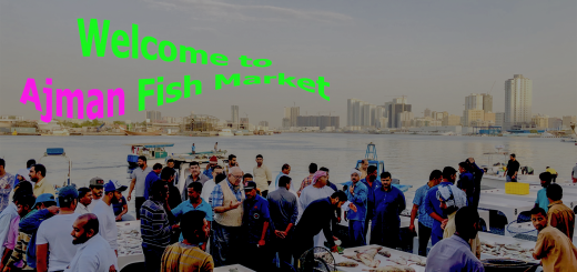 Ajman Fish Market