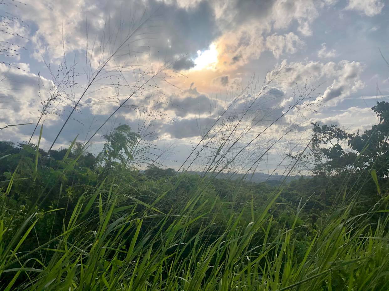 Timberland Heights San Mateo