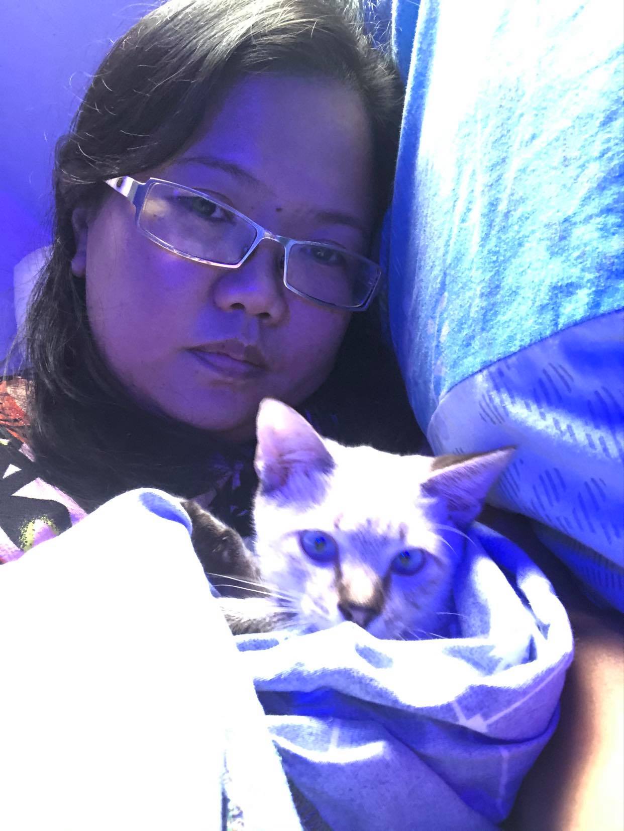 Siamese waking me up